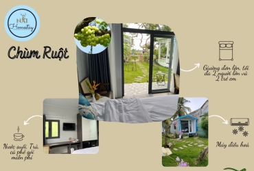 Phòng Bungalow Chùm Ruột